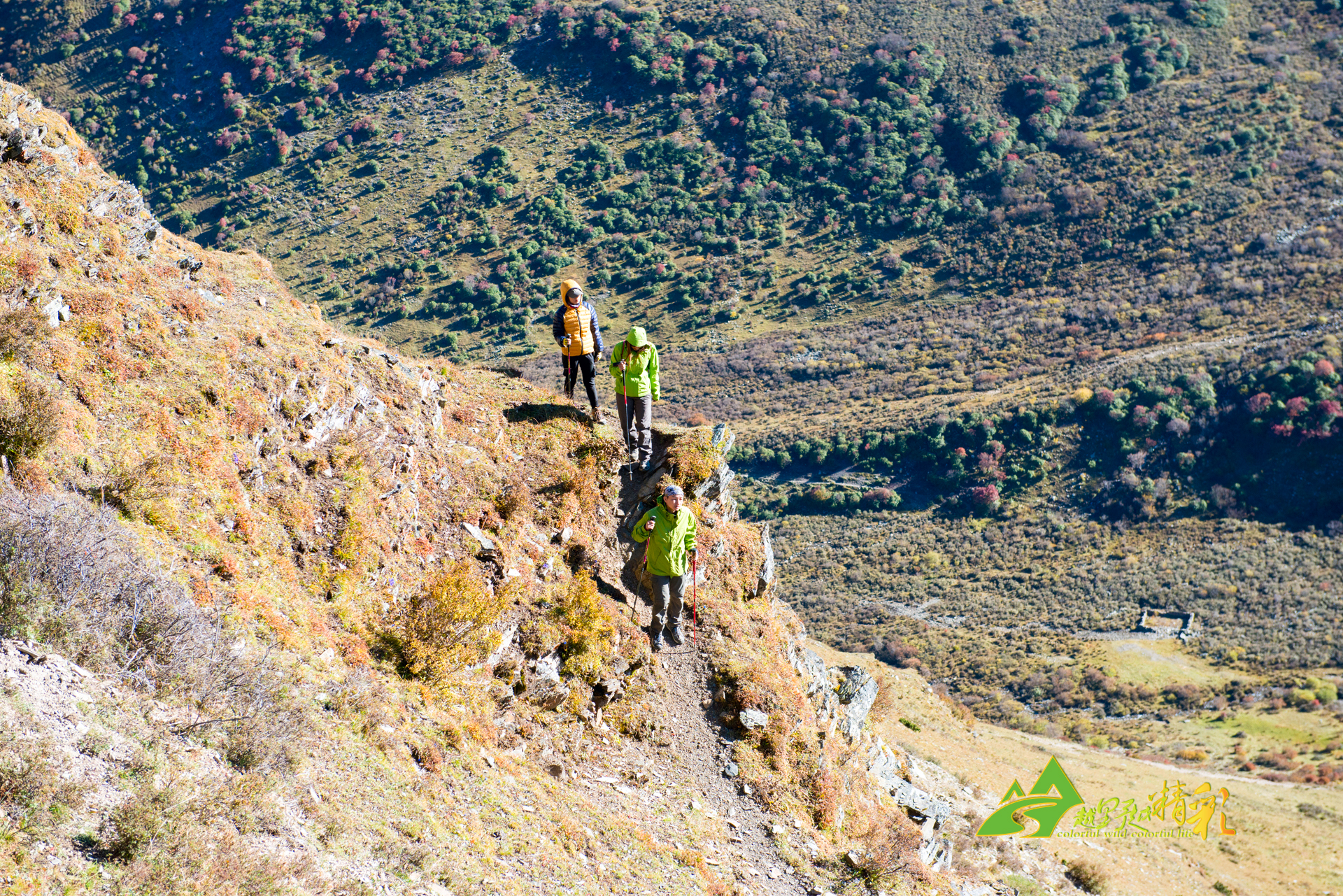 数据分析和 数据分析和