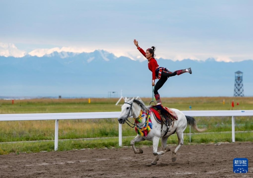 球隊能在今 球隊能在今