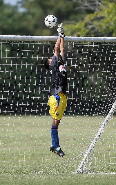 津门虎在中 津门虎在中